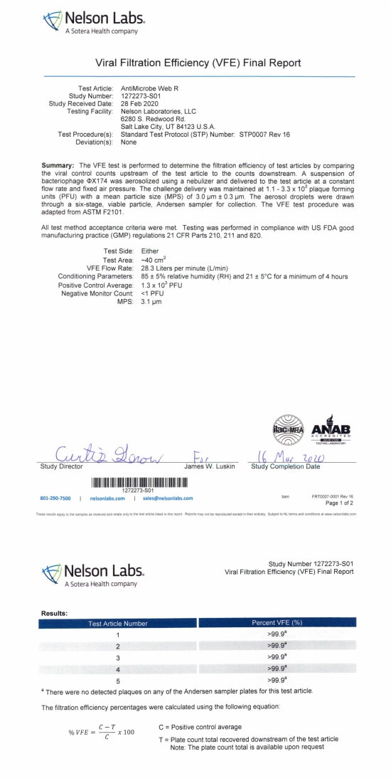 CUBO VFE Report 